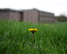 In the shadow of giants