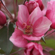 I know I’m beautiful